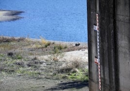 La sequía deja a los pantanos de Andalucía con agua para beber, pero no para regar