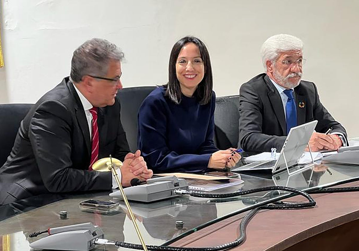 La  delegada del Gobierno en Madrid, Mercedes González, en el salón de plenos del Ayuntamiento de Parla
