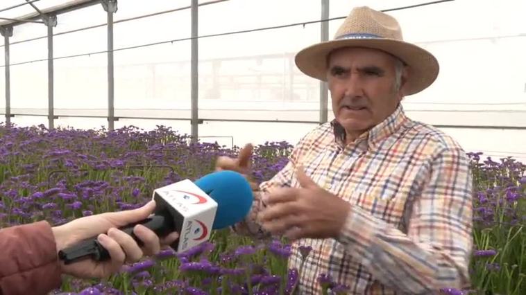 El sector de la floricultura se prepara para la temporada alta de Semana Santa