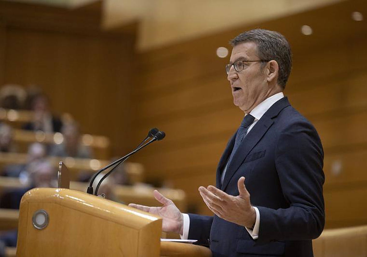 El presidente del PP, Alberto Núñez Feijóo, en el Pleno del Senado
