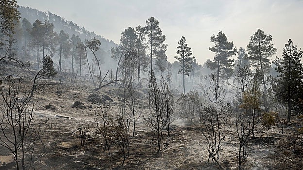 Imagen tomada este martes en una de las zonas cercanas a la localidad de Montán (Castellón)