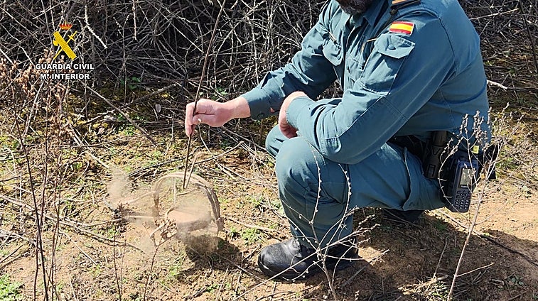 Un investigado por usar un cepo de caza prohibido en el que murió un gato atrapado en Guadalajara