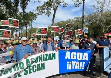 Más de 500 agricultores de Córdoba se concentran en Sevilla para pedir el adelanto de la campaña de riego