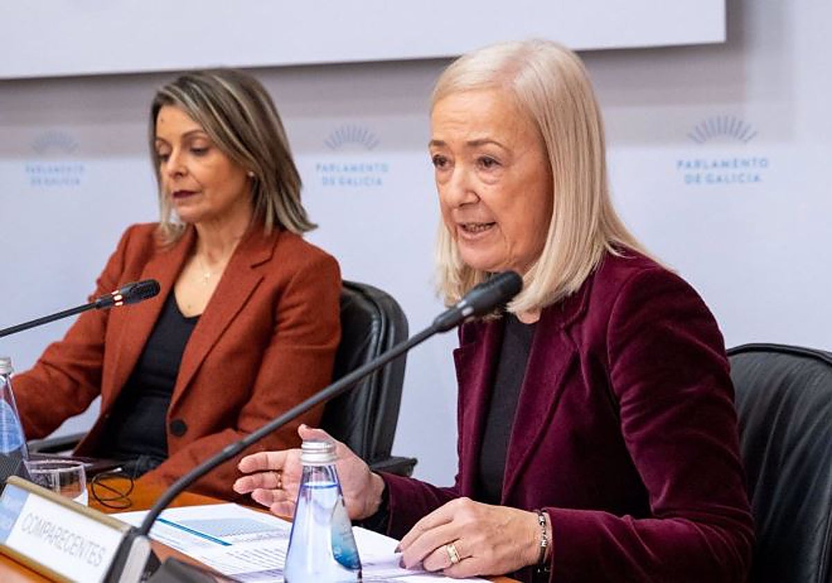 La gerente del Sergas, Estrella López, en el Parlamento, en una imagen de archivo