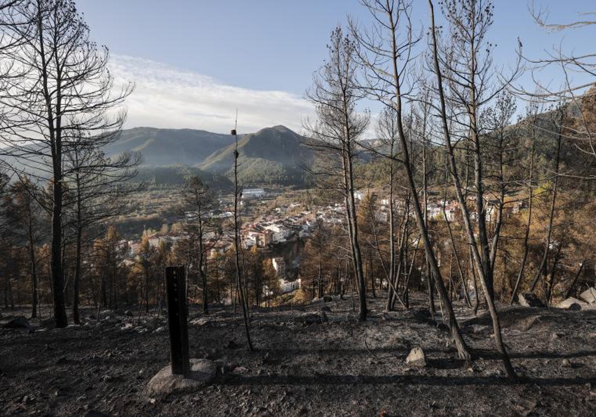 Imagen tomada en el incendio declarado en Villanueva de Viver (Castellón)