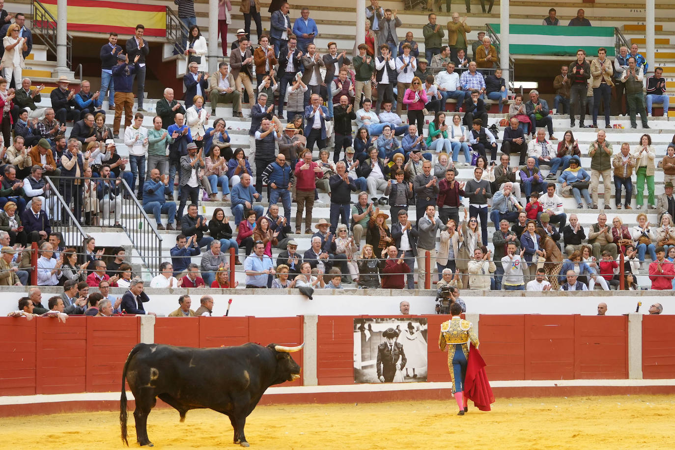 Toros | Las mejores imágenes del nuevo triunfo de Román en Pozoblanco