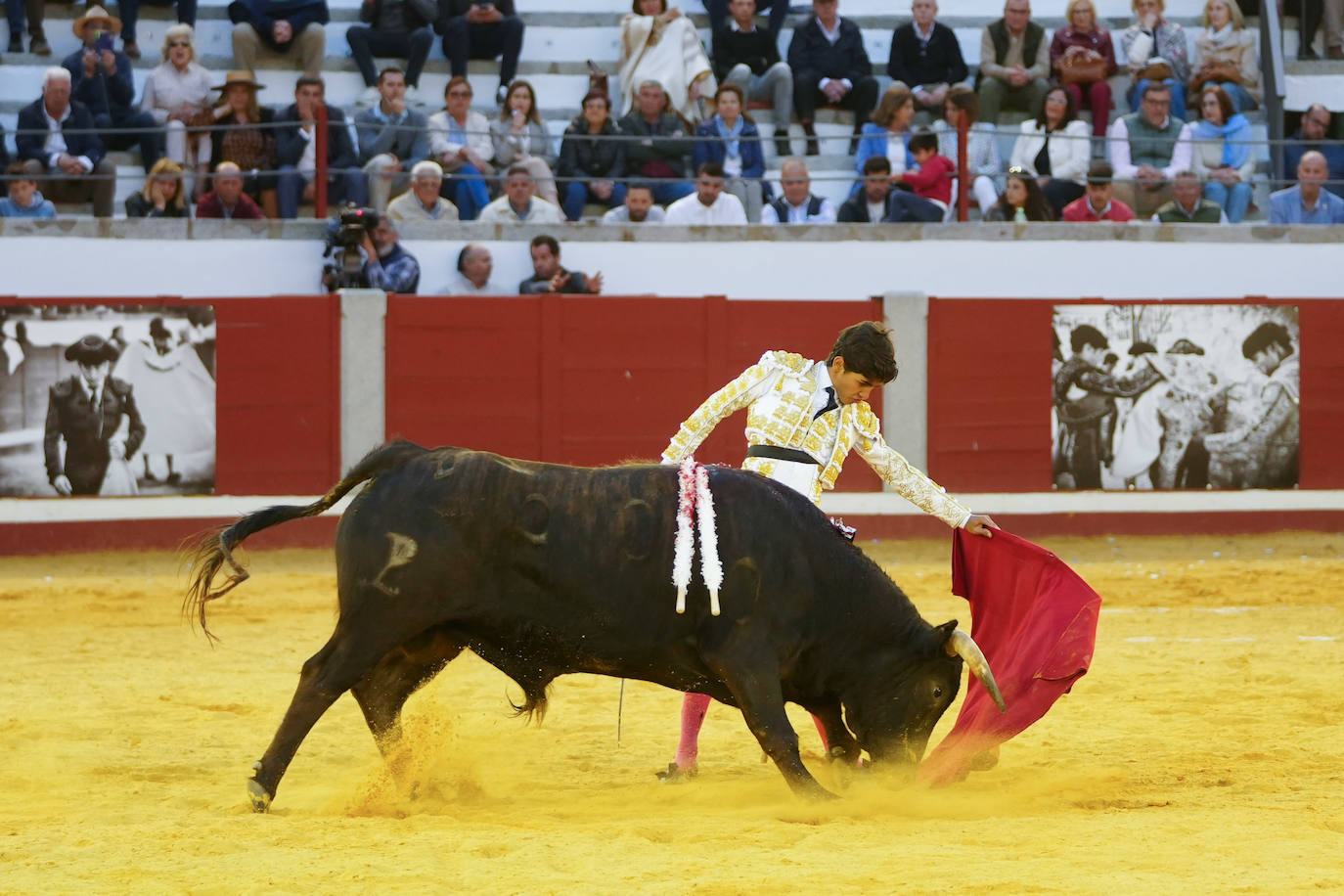 Toros | Las mejores imágenes del nuevo triunfo de Román en Pozoblanco