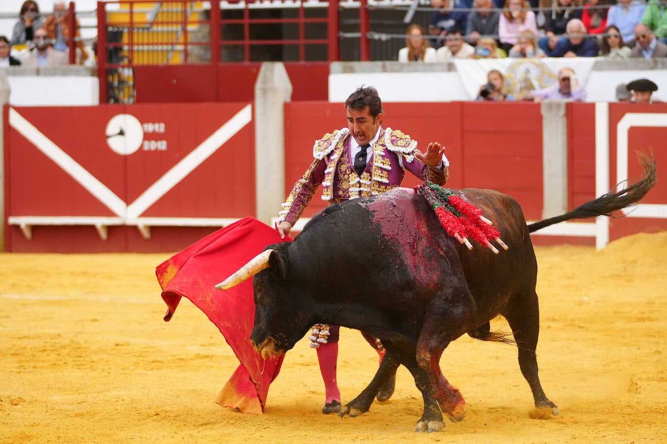 Toros | Las mejores imágenes del nuevo triunfo de Román en Pozoblanco
