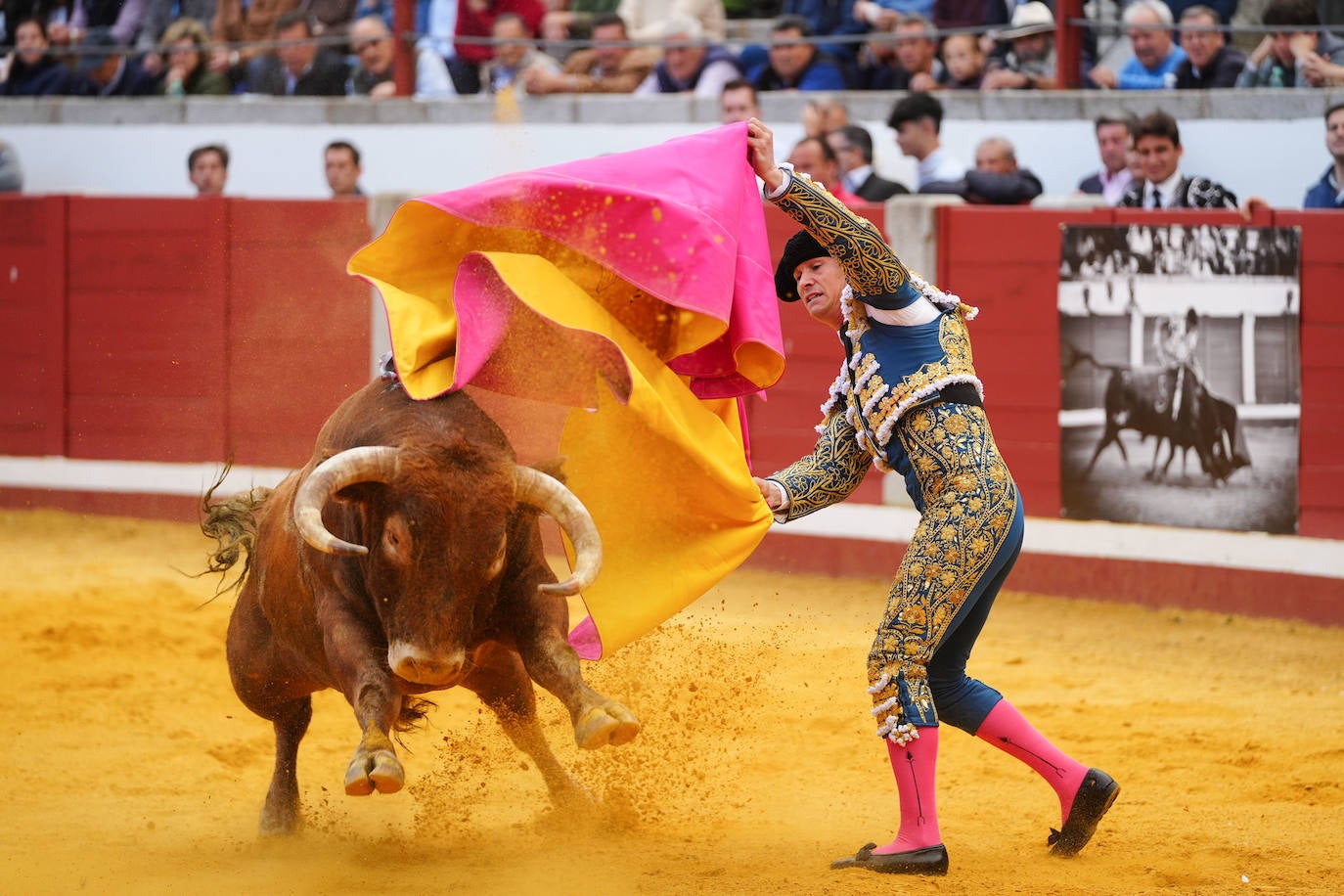 Toros | Las mejores imágenes del nuevo triunfo de Román en Pozoblanco