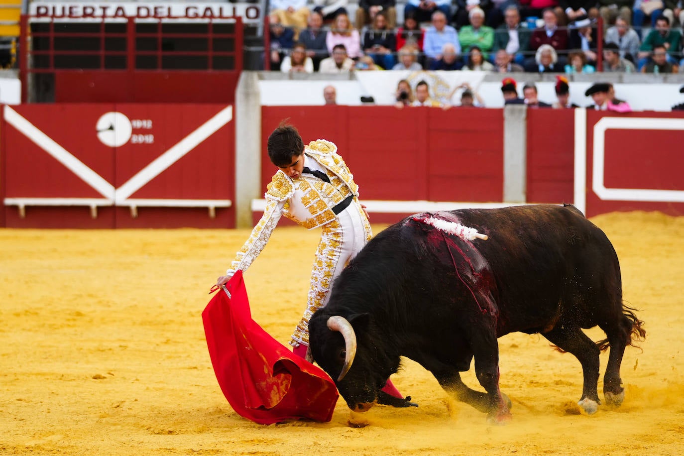 Toros | Las mejores imágenes del nuevo triunfo de Román en Pozoblanco