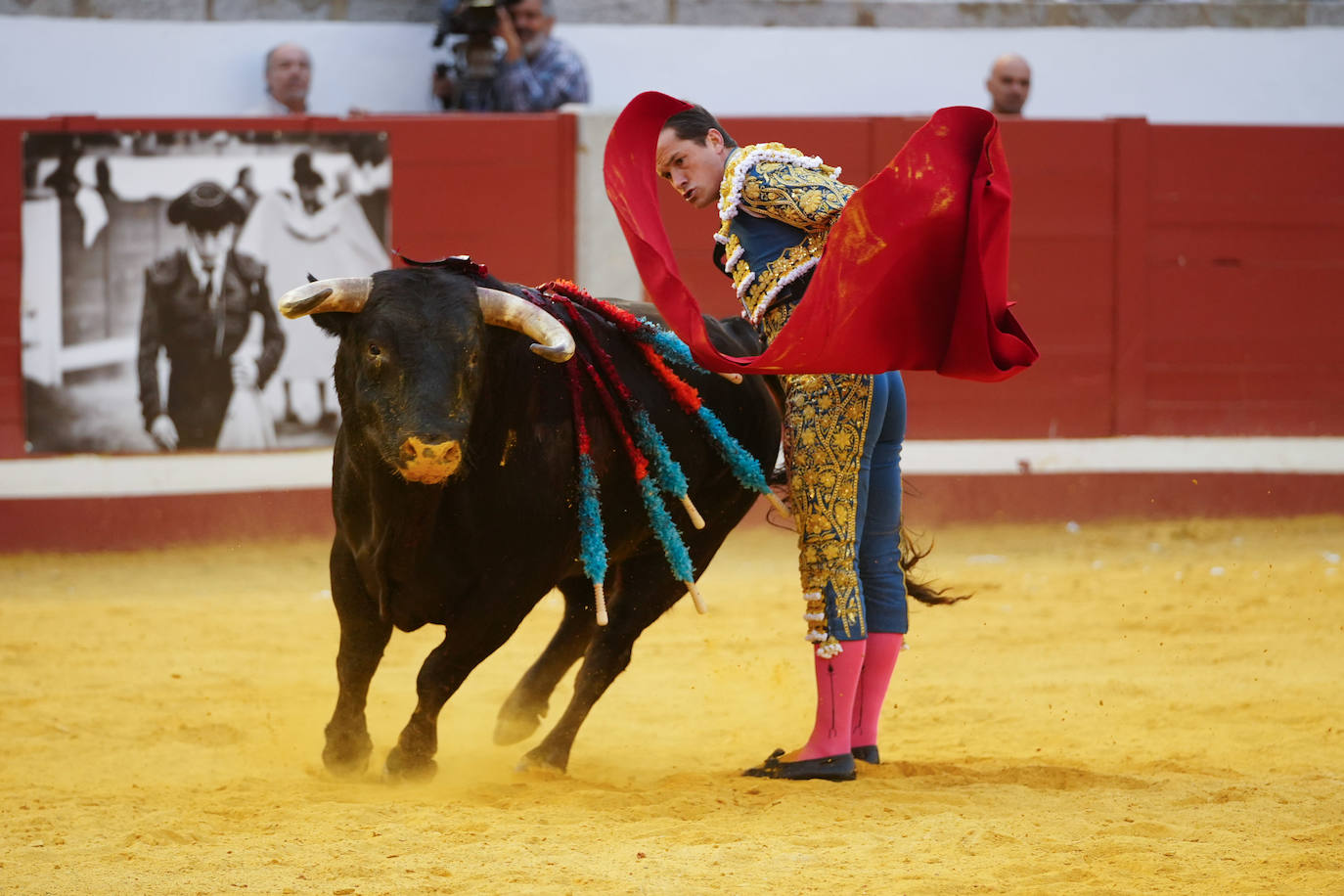 Toros | Las mejores imágenes del nuevo triunfo de Román en Pozoblanco