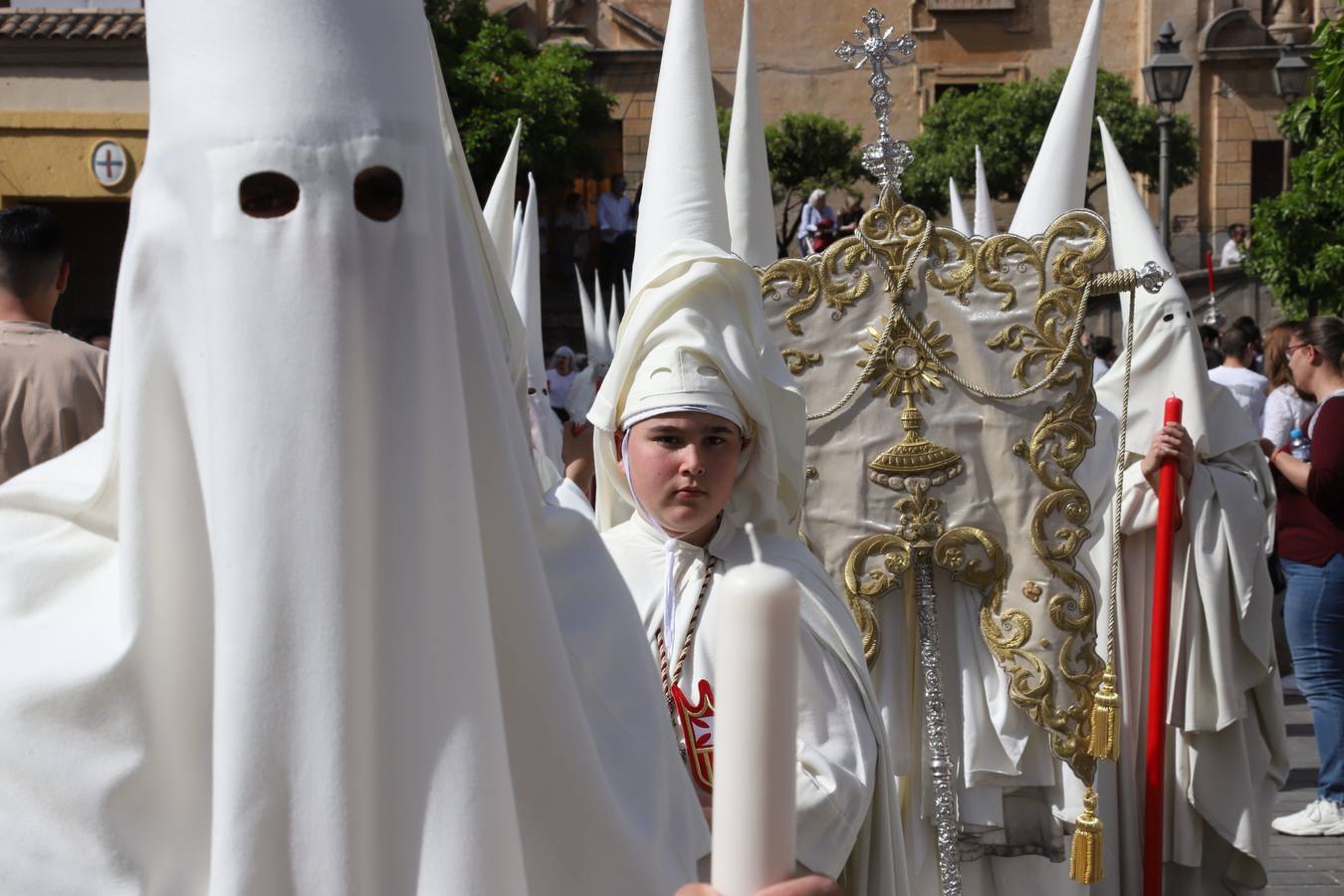 Fotos |Lunes Santo: la luminosa hermandad de la Merced, en imágenes