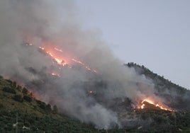 Casi el 30 por ciento de la Sierra de Córdoba tiene un riesgo alto o muy alto de incendios