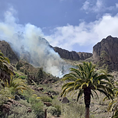 Declarado un incendio en Mogán, Gran Canaria, con potencial y condiciones desfavorables