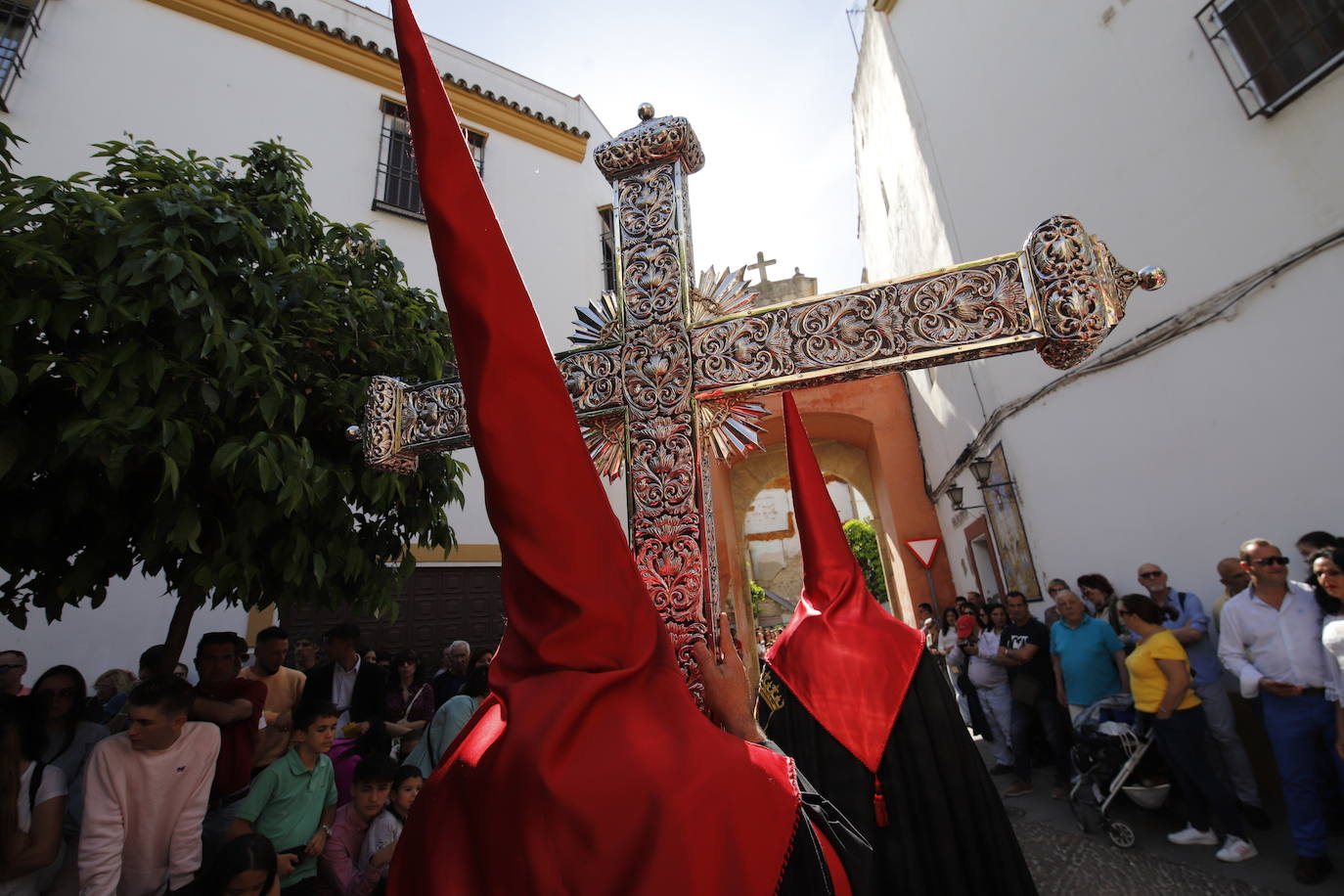 La identidad estética de la Caridad en su estación de penitencia, en imágenes