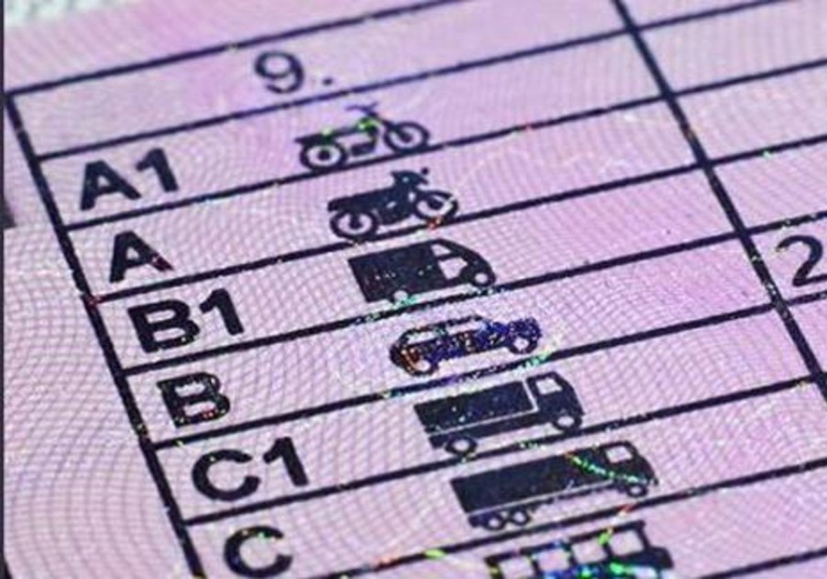 Detalle de la parte posterior de un carnet de conducir español