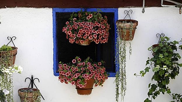 Patios Córdoba 2023 | La guía más completa