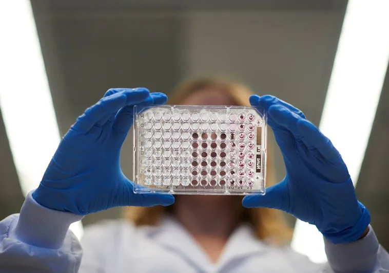 Un chip para detectar rápido el cáncer: el invento español que busca revolucionar la medicina