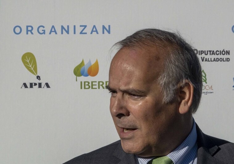 El CEO de Iberdrola España dice que ir contra las energías renovables «es ir camino del infierno pisando el acelerador»