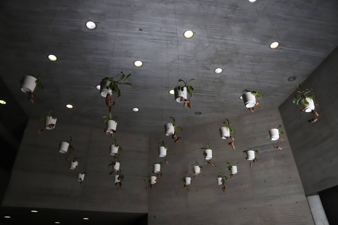 La exposición &#039;Remedios&#039;, de la Fundación Thyssen en Córdoba, en imágenes