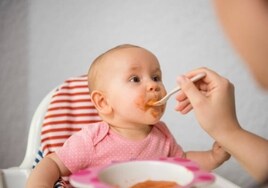 La guía para elegir las mejores papillas de cereales infantiles según la OCU