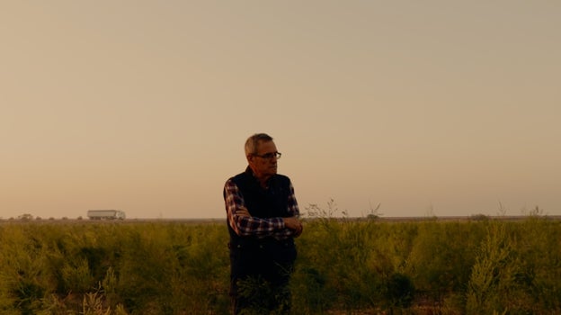 José Francisco, durante la entrevista en sus campos de cultivo en Camuñas (Toledo)