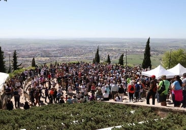 La tradición de las habas de las Ermitas de Córdoba, en imágenes