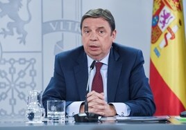 El ministro de Agricultura considera «claramente ilegal» la propuesta para regular regadíos en Doñana