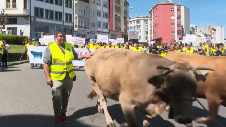 Protesta de los ganaderos gallegos por la subida en sus costes de producción