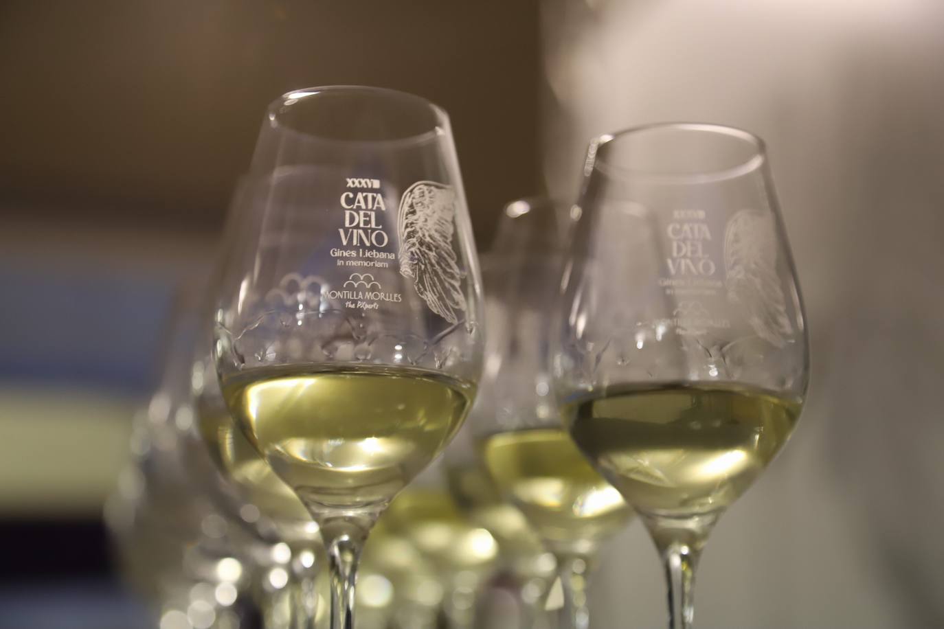 La inauguración de la Cata de Vino de Córdoba 2023, en imágenes