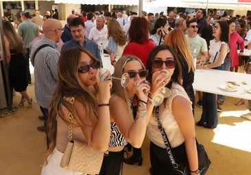 El radiante arranque de la Cata del Vino de Córdoba, en imágenes