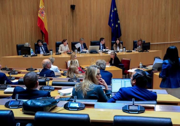 El Congreso aprueba en comisión la Ley de Vivienda con apoyo del PSOE, UP, ERC y Bildu y la abstención de PNV