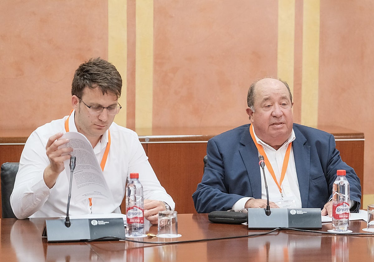 Eduardo Díaz (derecha) interviniendo, esta semana, en el Parlamento de Andalucía