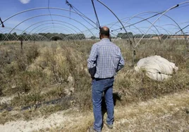Bruselas advierte que usará «todos los medios disponibles» para detener el plan de regadíos en Doñana