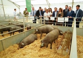 La Feria Agroganadera se abre con los ganaderos pidiendo ayudas al transporte de víveres de 4.000 euros