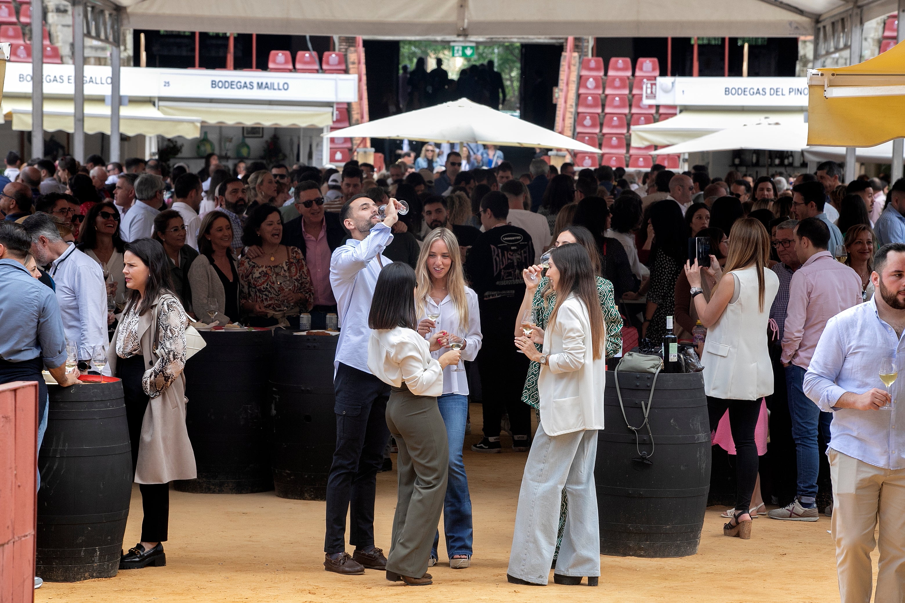El lleno de la Cata del Vino de Córdoba este sábado, en imágenes