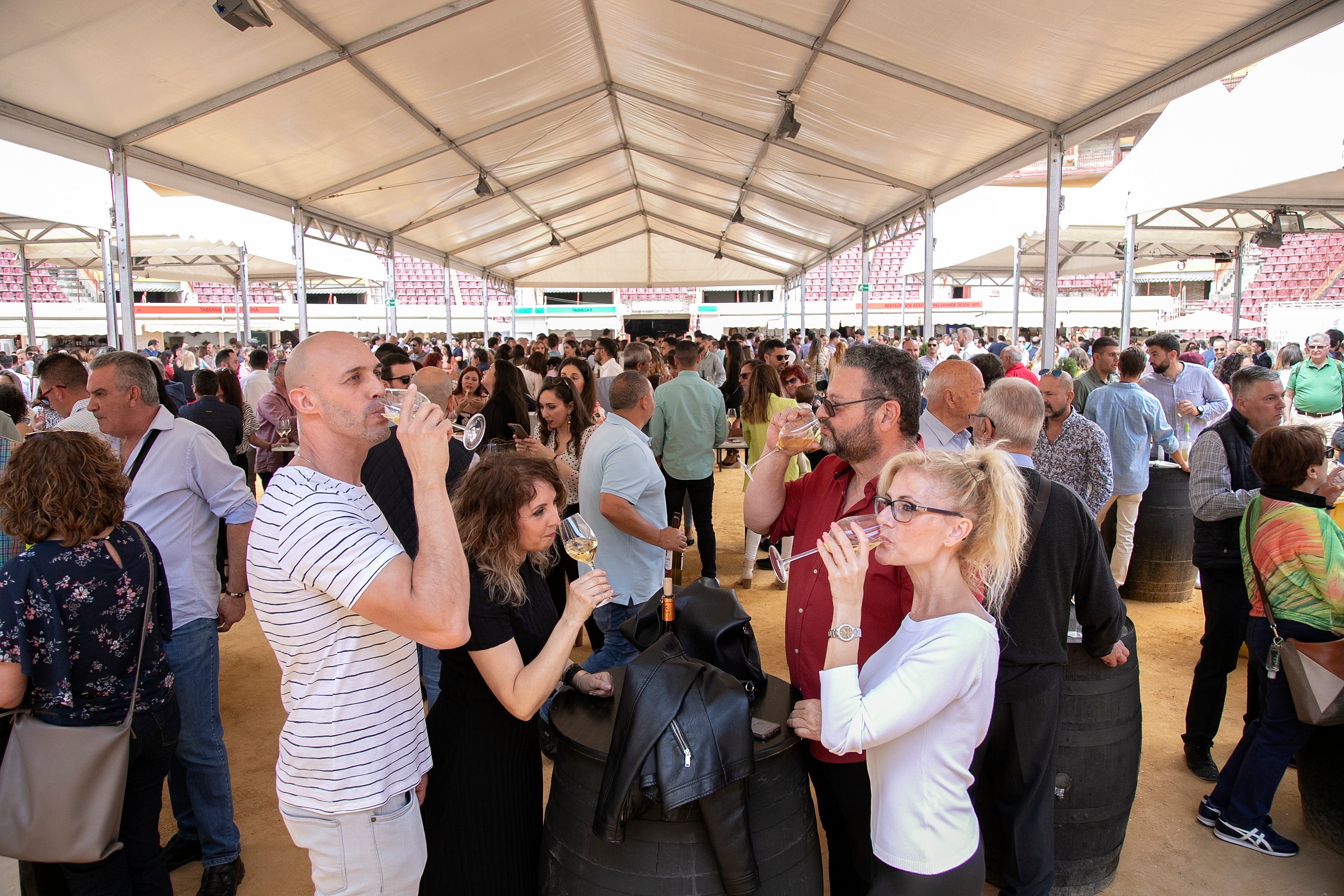 El lleno de la Cata del Vino de Córdoba este sábado, en imágenes