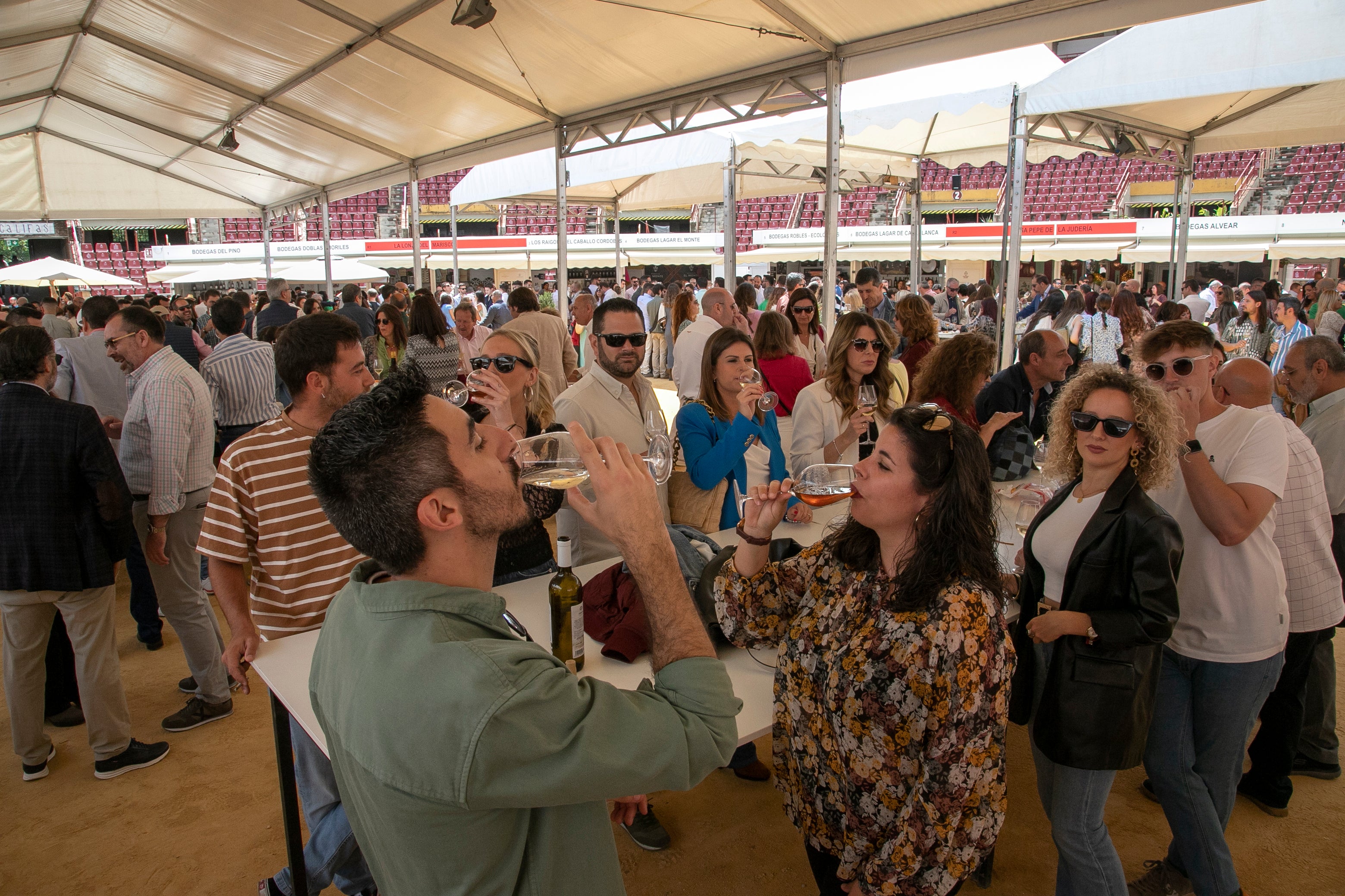 El lleno de la Cata del Vino de Córdoba este sábado, en imágenes