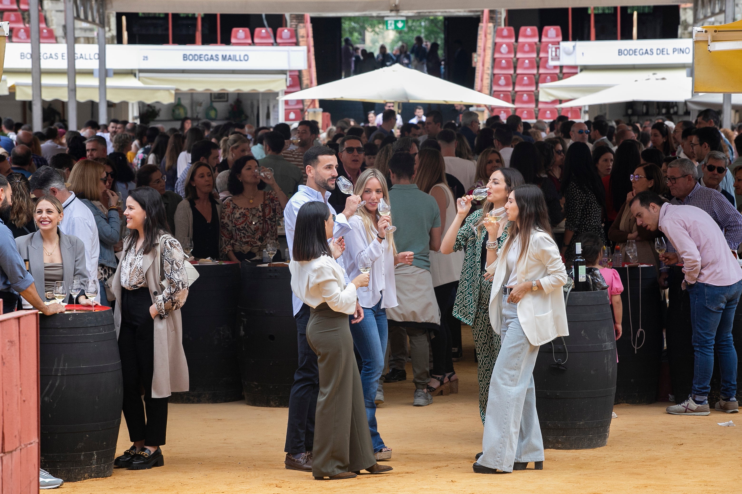 El lleno de la Cata del Vino de Córdoba este sábado, en imágenes