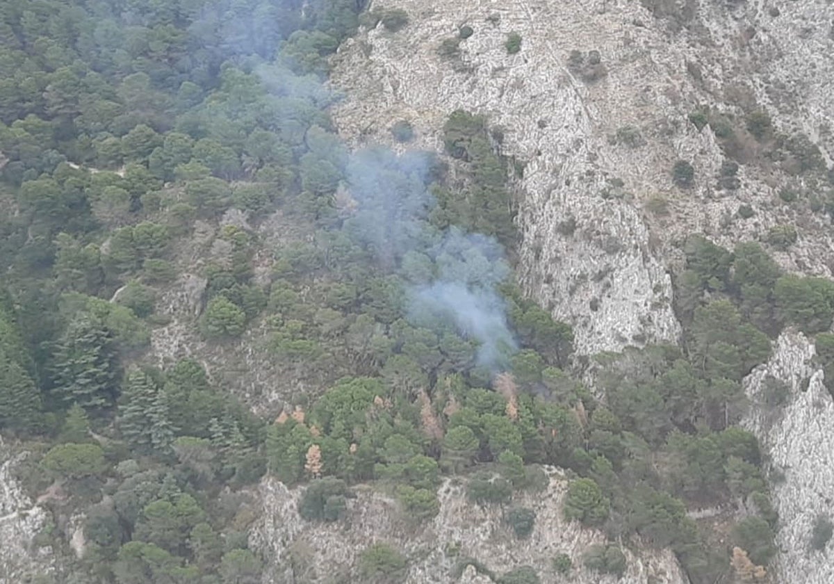 Uno de los incendios que el Infoca trata de sofocar en Málaga