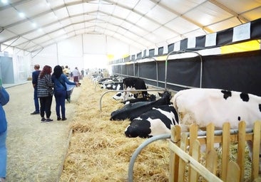 Agricultores y ganaderos tratan de sortear una crisis con visos de agravarse