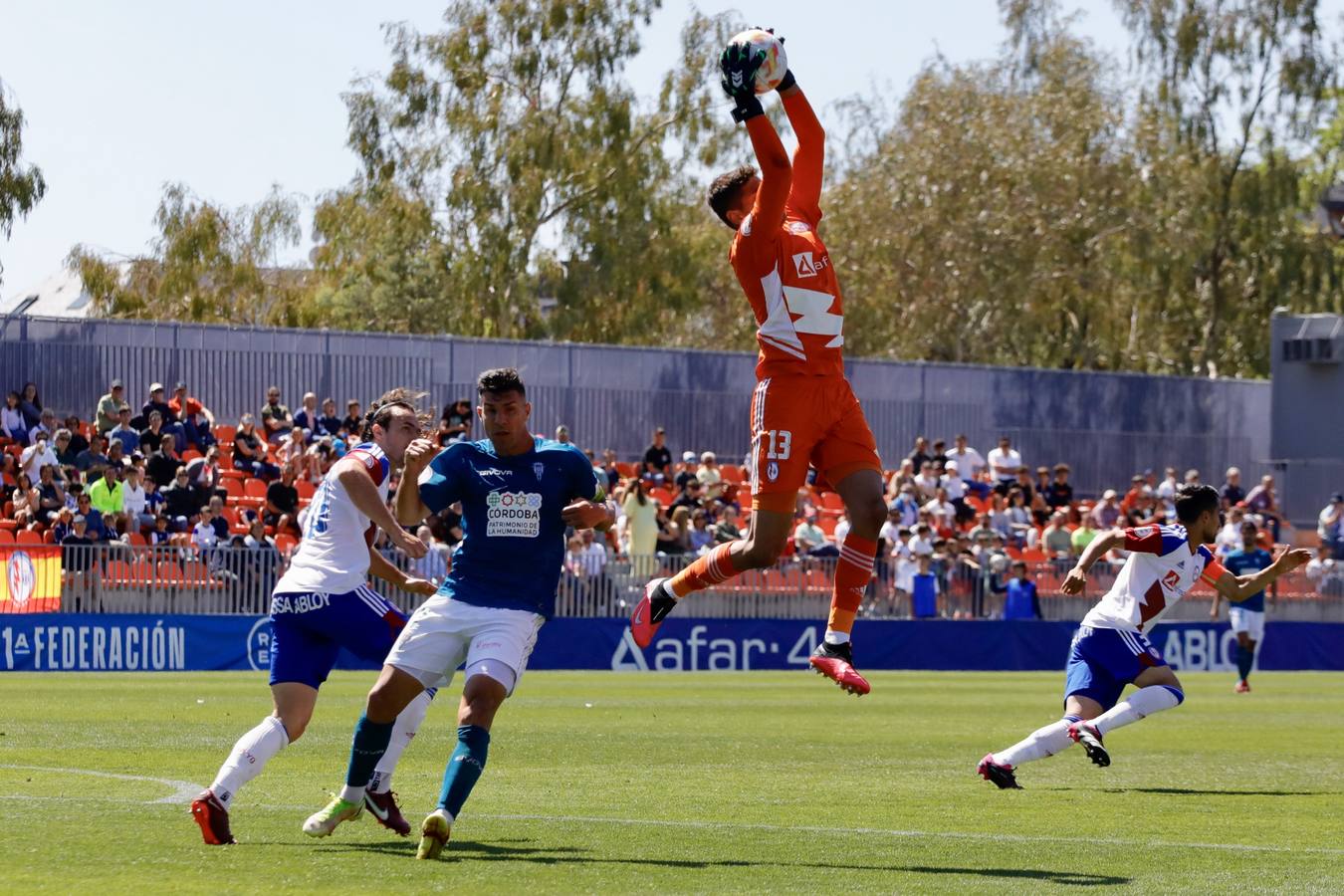 La derrota del Córdoba CF ante el Rayo Majadahonda, en imágenes