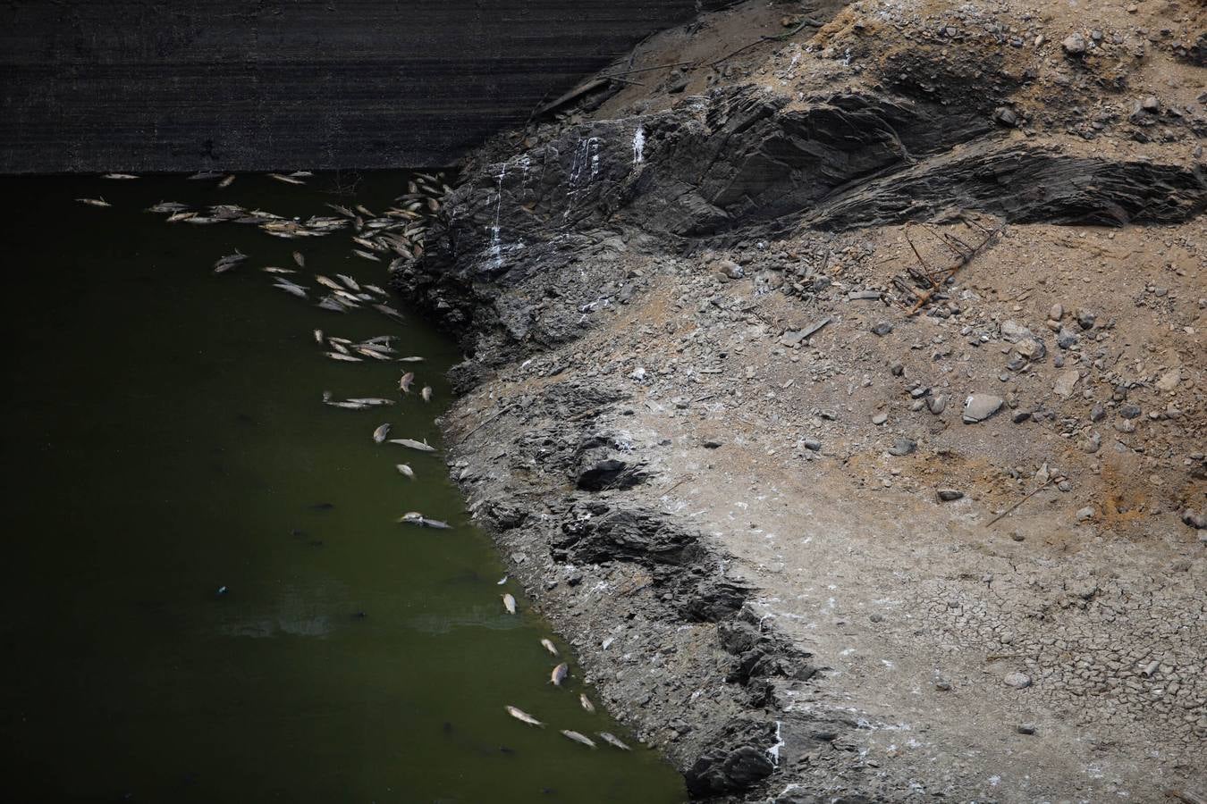 El impactante paisaje de sequía en los pantanos de Córdoba, en imágenes