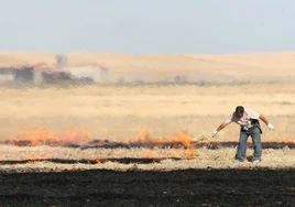 Prolongada hasta el 8 de mayo la prohibición de las quemas agrícolas para prevenir incendios forestales