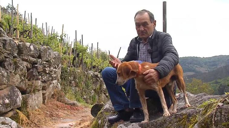 El rescate imposible de Toby