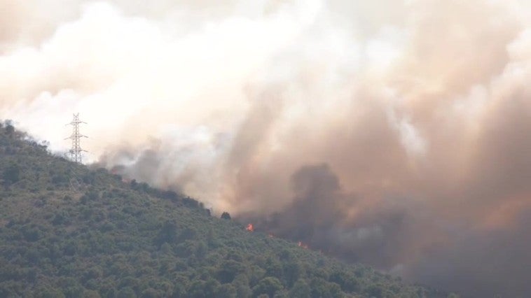 Solo 1 de cada 4 incendios forestales es intencionado, detrás de la mayoría de siniestros hay una negligencia