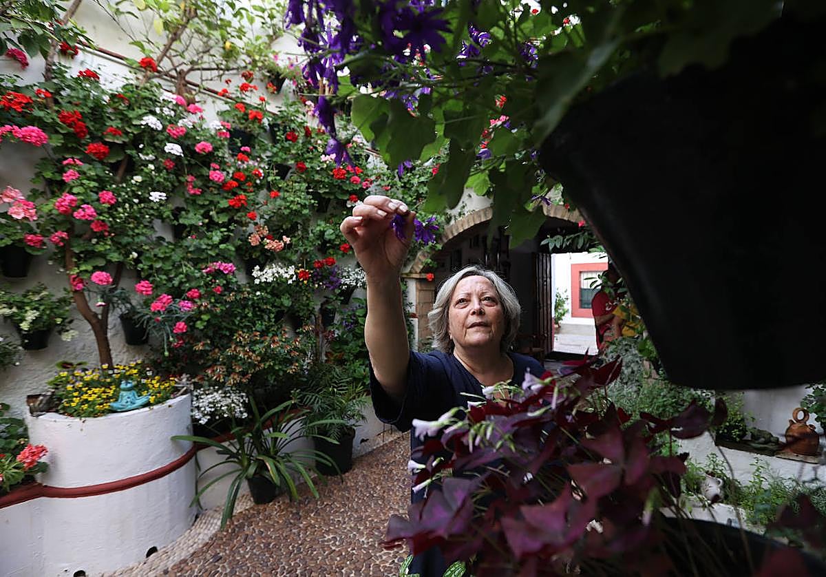 Los Patios de Córdoba se preparan para abrir sus puertas la próxima semana