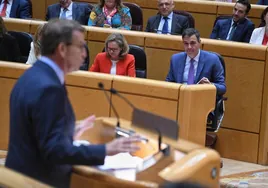 Sánchez y Feijóo chocan por la respuesta a la crisis en un debate en el Senado sin puntos de encuentro