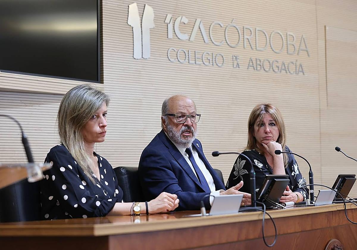 El decano del Colegio de Abogados de Córdoba, Carlos Arias, durante su comparecencia