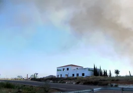 La Junta de Andalucía instará a la propiedad de la planta a que retire los neumáticos del incendio en Puente Genil